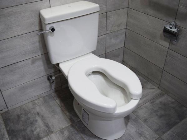 بررسی خاصیت ضدخش توالت فرنگی انتی باکتریال