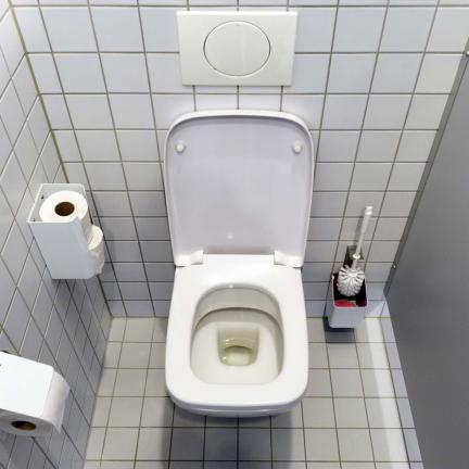 بررسی رنگ بندی توالت فرنگی آنتی باکتریال