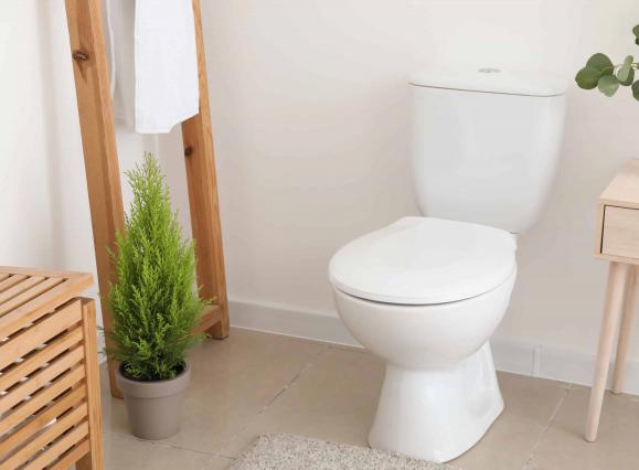 صادرات توالت فرنگی انتی باکتریال