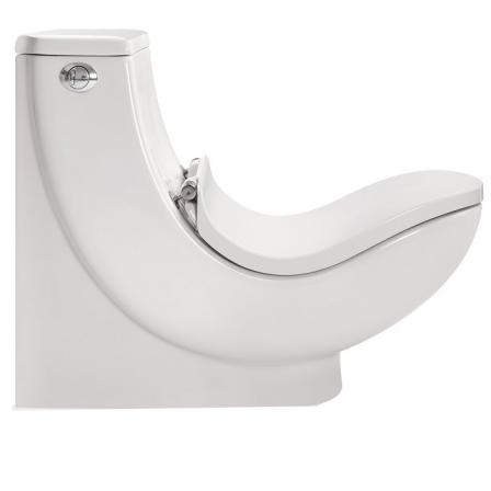 بازار توزیع توالت فرنگی آنتی باکتریال