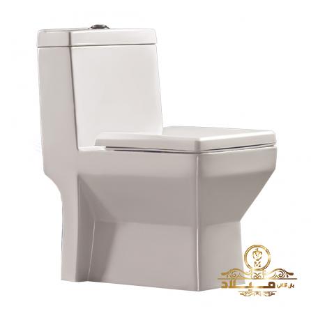 بارزترین ویژگی توالت فرنگی طبی