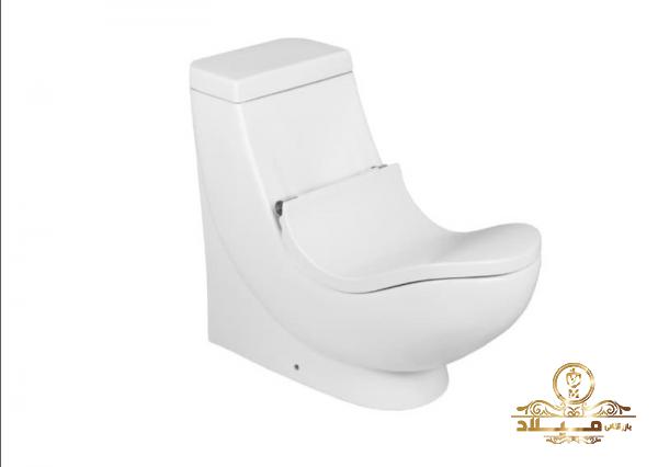 توالت فرنگی طبی چه ویژگی‌هایی دارد؟