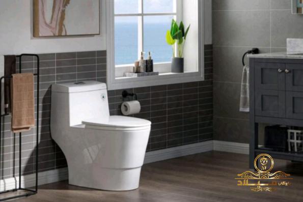 فروشگاه عرضه توالت فرنگی شوتینگ دار