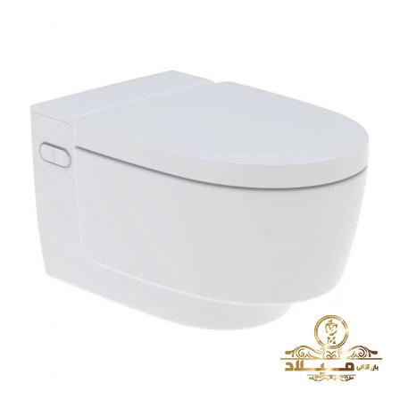 اطلاعاتی مختصر در مورد توالت فرنگی فول اتومات