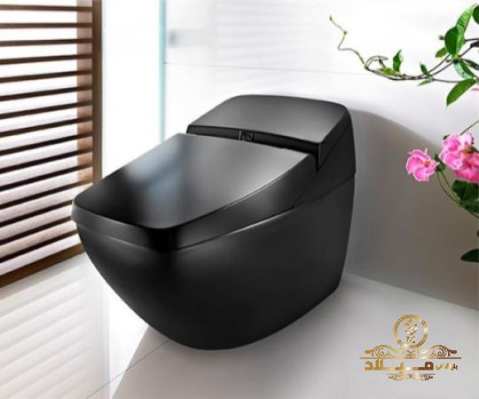 چگونگی انتخاب بهترین نوع توالت فرنگی