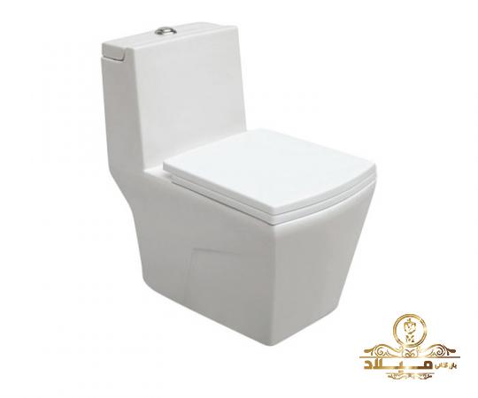 توصیه هایی برای استفاده از توالت فرنگی